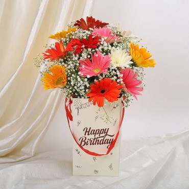 Mixed Gerberas Birthday Box