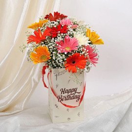 Mixed Gerberas Birthday Box