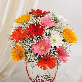 Mixed Gerberas Birthday Box