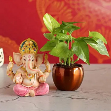 Money Plant Metal Pot & Pink Dhoti Ganesha Idol