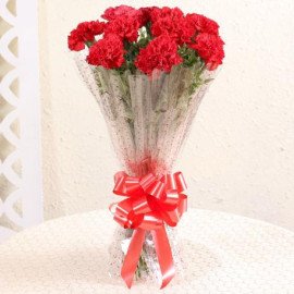 10 Elegant Red Carnations Bouquet