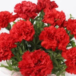 10 Elegant Red Carnations Bouquet