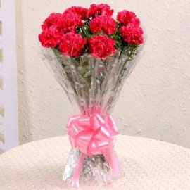 10 Passionate Pink Carnations Bouquet