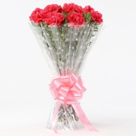 10 Passionate Pink Carnations Bouquet