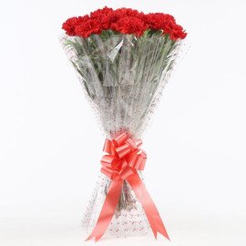 12 Glorious Red Carnations Bouquet