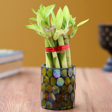 5 Bamboo Sticks in Green Mosaic Votive