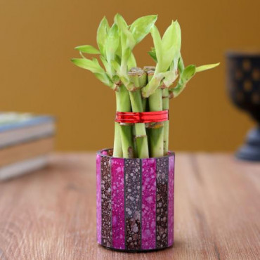 5 Bamboo Sticks in Pink Brown Mosaic Votive