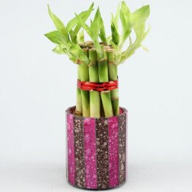 5 Bamboo Sticks in Pink Brown Mosaic Votive