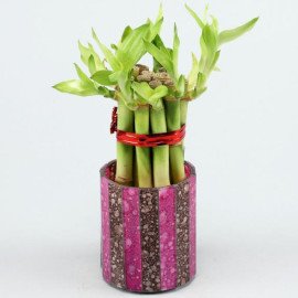 5 Bamboo Sticks in Pink Brown Mosaic Votive