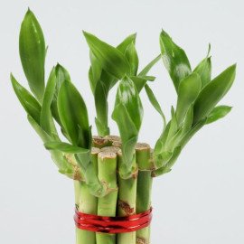 5 Bamboo Sticks in Pink Brown Mosaic Votive