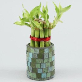5 Bamboo Sticks in Teal Blue Mosaic Votive