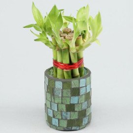 5 Bamboo Sticks in Teal Blue Mosaic Votive
