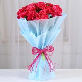 Adorable Pink Carnations Flowers Bouquet