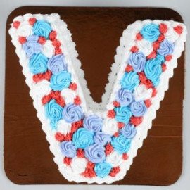 Alphabet V Cake