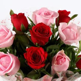 Appealing 10 Red Pink Roses Bunch
