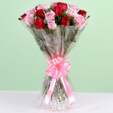 Appealing 18 Red Pink Roses Bunch