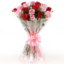 Appealing 18 Red Pink Roses Bunch