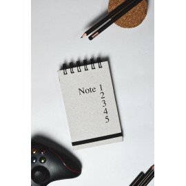 Ash Set of 3 Wiro Notebooks