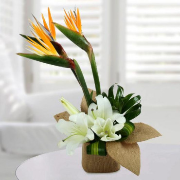 Asiatic Lily Arrangement