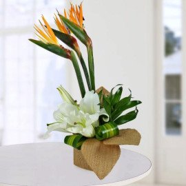 Asiatic Lily Arrangement