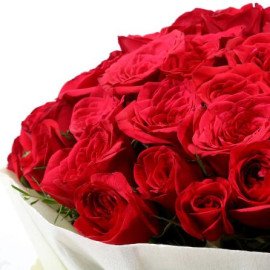 Authentic Love 100 Roses