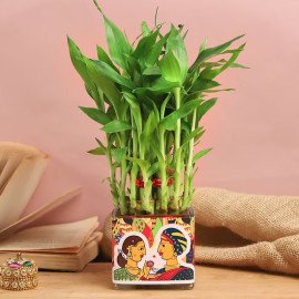 Bamboo Family Rakhi N Nuts