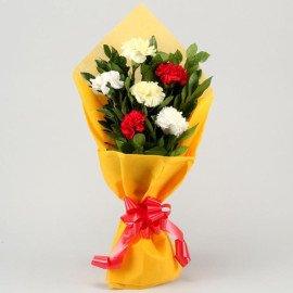 Beautiful Carnations Hand Tied Bunch