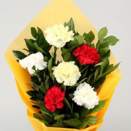 Beautiful Carnations Hand Tied Bunch