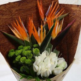Bird Of Paradise Special Bunch
