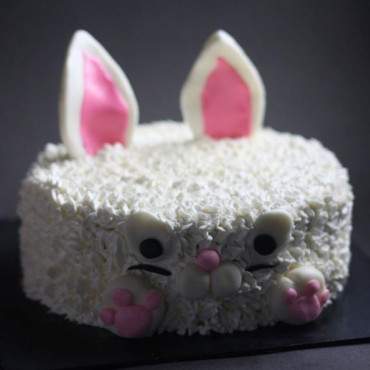 Bunny Chocolate Cake