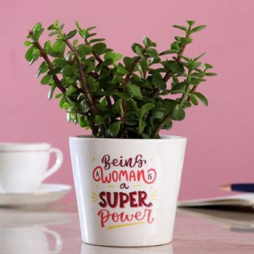 JADE PLANT IN WOMEN SUPERPOWER PLANTER