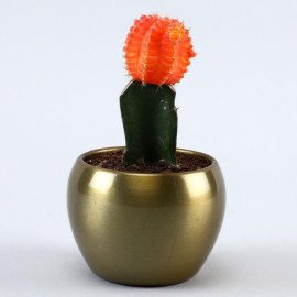 Cactus Plant In Golden Hammered Pot