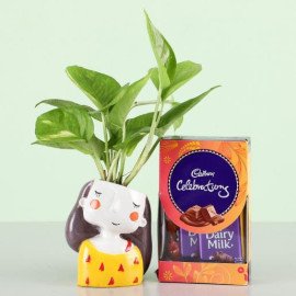 Cadbury Celebrations & Money Plant