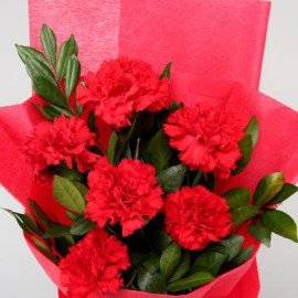 Captivating Red Carnations Bunch