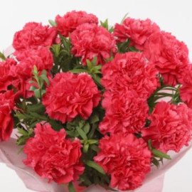 Carnations Bouquet