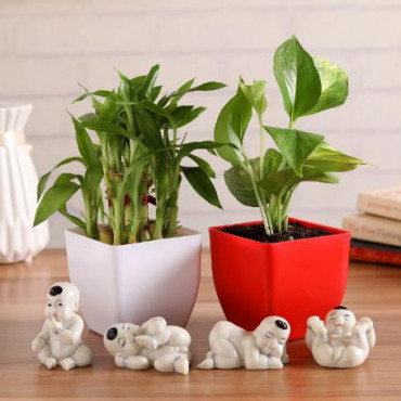 Combo Of Bliss With Baby Buddha Miniatures