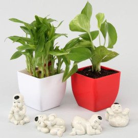 Combo Of Bliss With Baby Buddha Miniatures