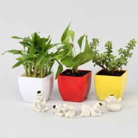 Combo Of Prosperity With Baby Buddha Miniatures