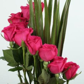 Dark Pink Roses Arrangement
