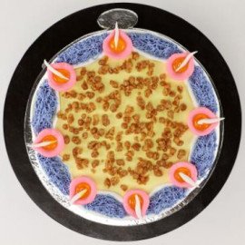 Diya Theme Butterscotch Cake