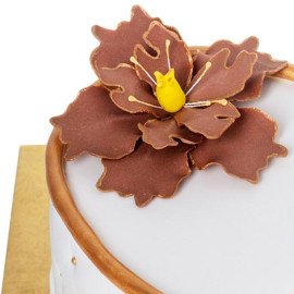 Double Hearts & Ring Cake