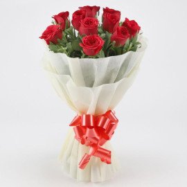 Elegant Red Roses
