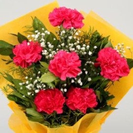 Enchanted Pink Carnations Bunch