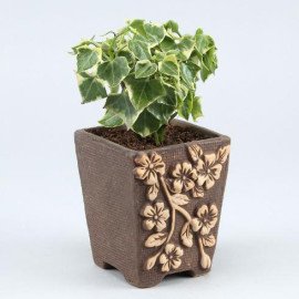 English Ivy Plant In Flower Embossed Pot