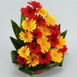 Exhilarating Floral Beauty