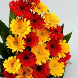 Exhilarating Floral Beauty