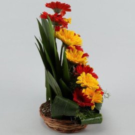 Exhilarating Floral Beauty