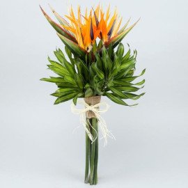 Exotic 5 Bird Of Paradise Flowers Bunch