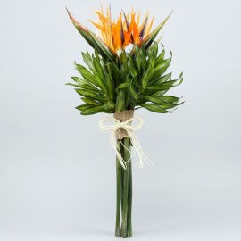 Exotic 5 Bird Of Paradise Flowers Bunch