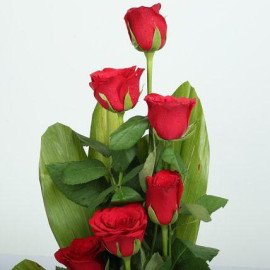 Expression of Romance